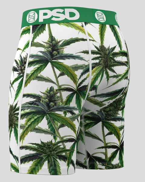 Buds & Bloom XS / MULTI