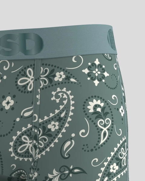 MYSTIC PAISLEY MDL MULTI XS / MULTI