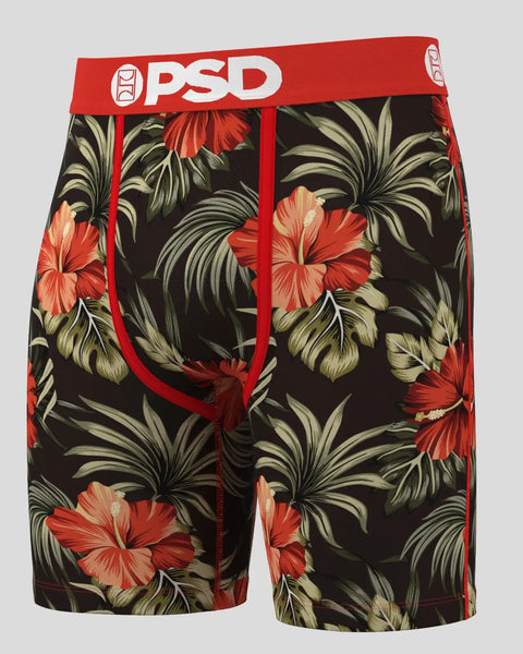 3 Pack - The Tropics