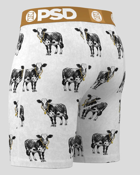 Cash Cow XS / MULTI